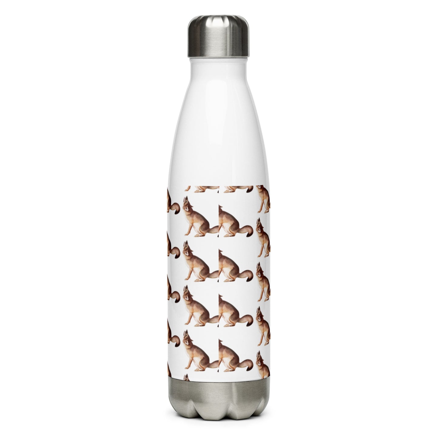 Stainless Steel Water Bottle