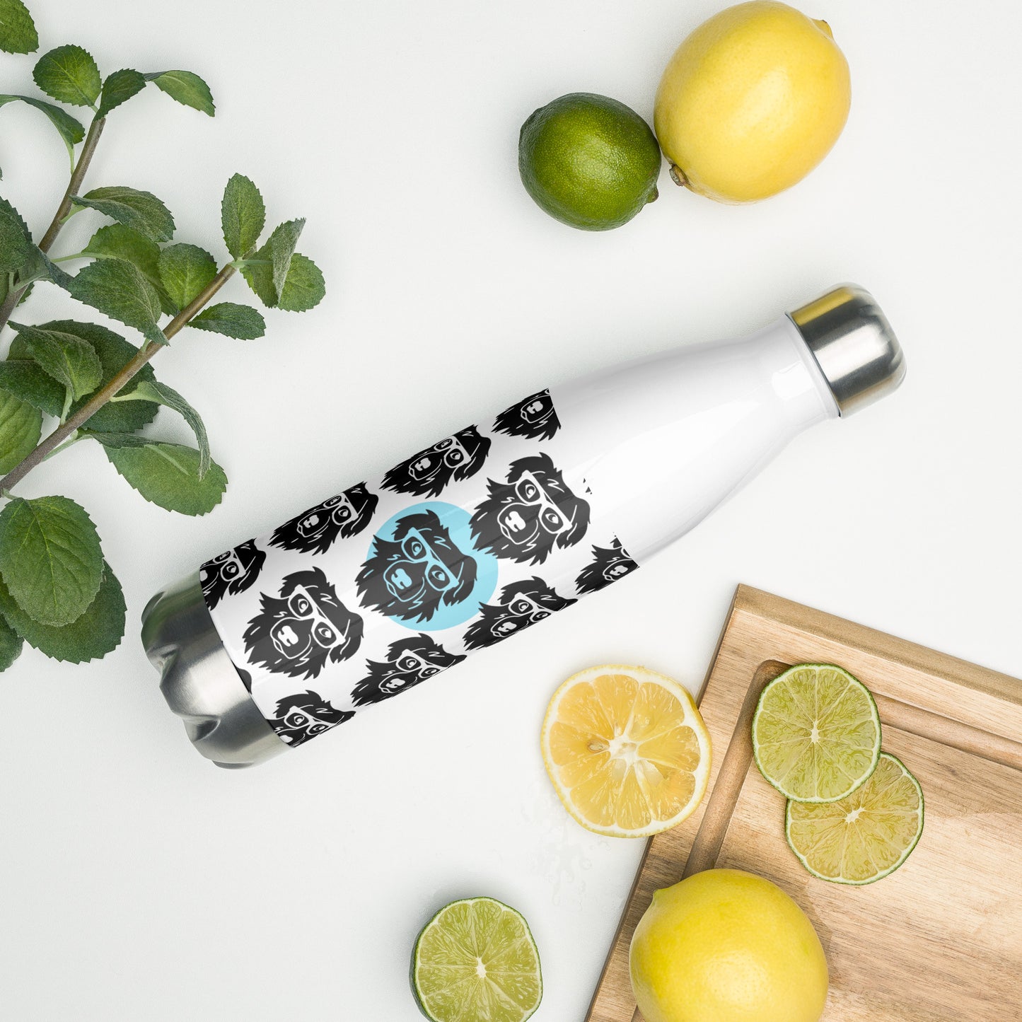 Stainless Steel Water Bottle