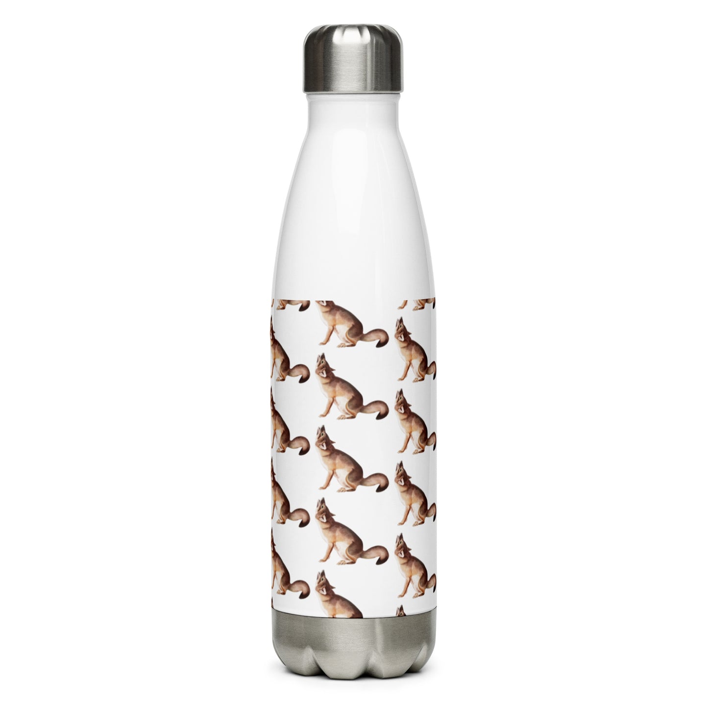 Stainless Steel Water Bottle