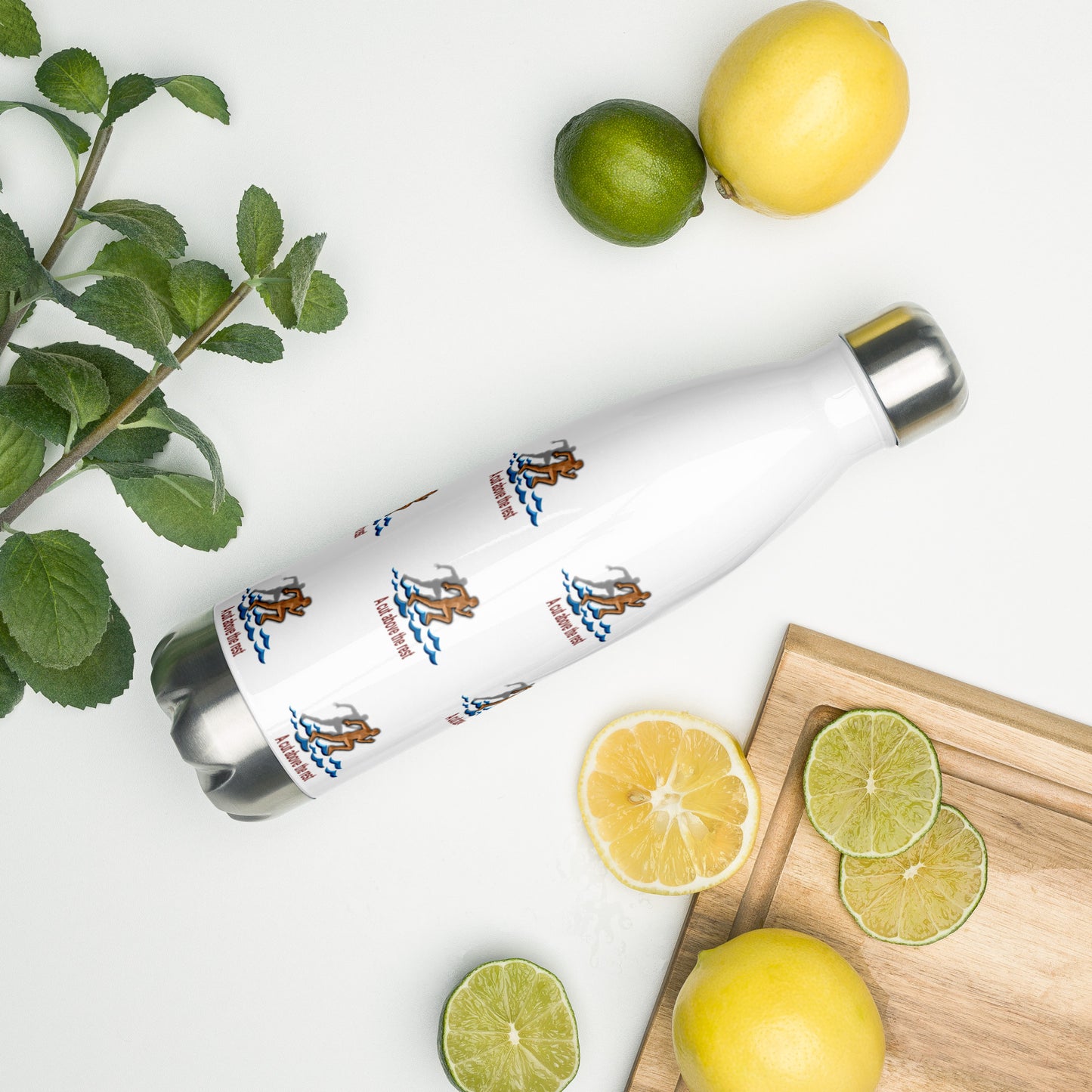 Stainless Steel Water Bottle