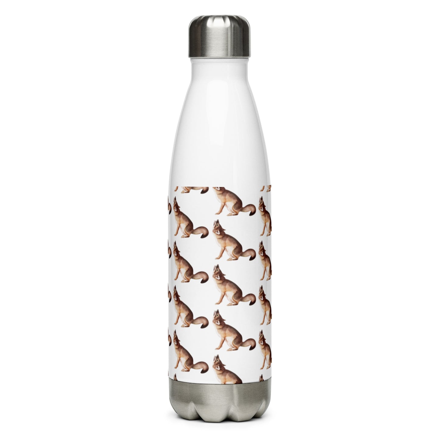 Stainless Steel Water Bottle