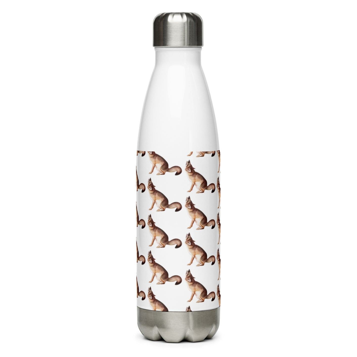 Stainless Steel Water Bottle