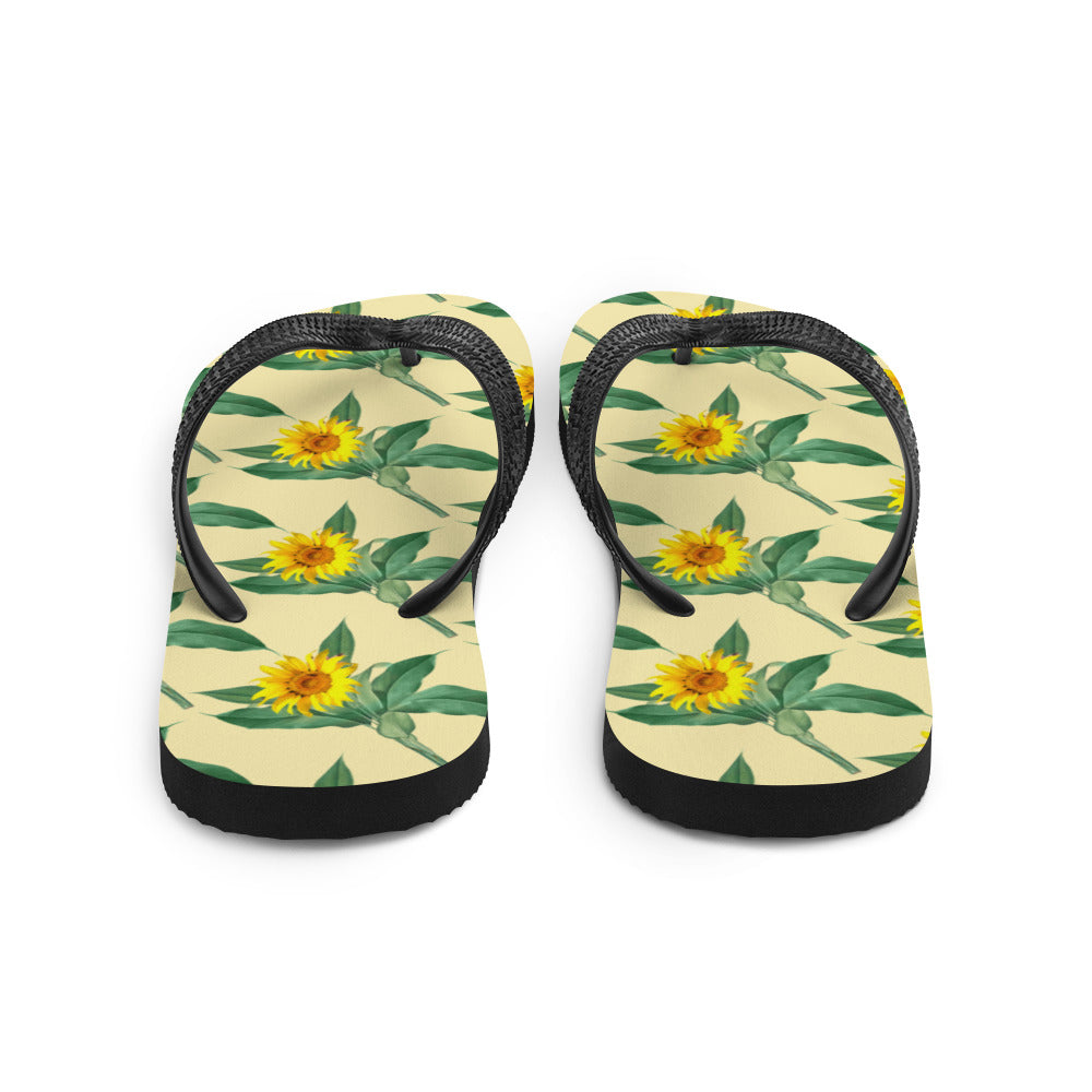 Flip-Flops
