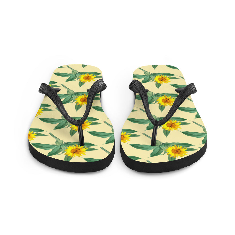 Flip-Flops
