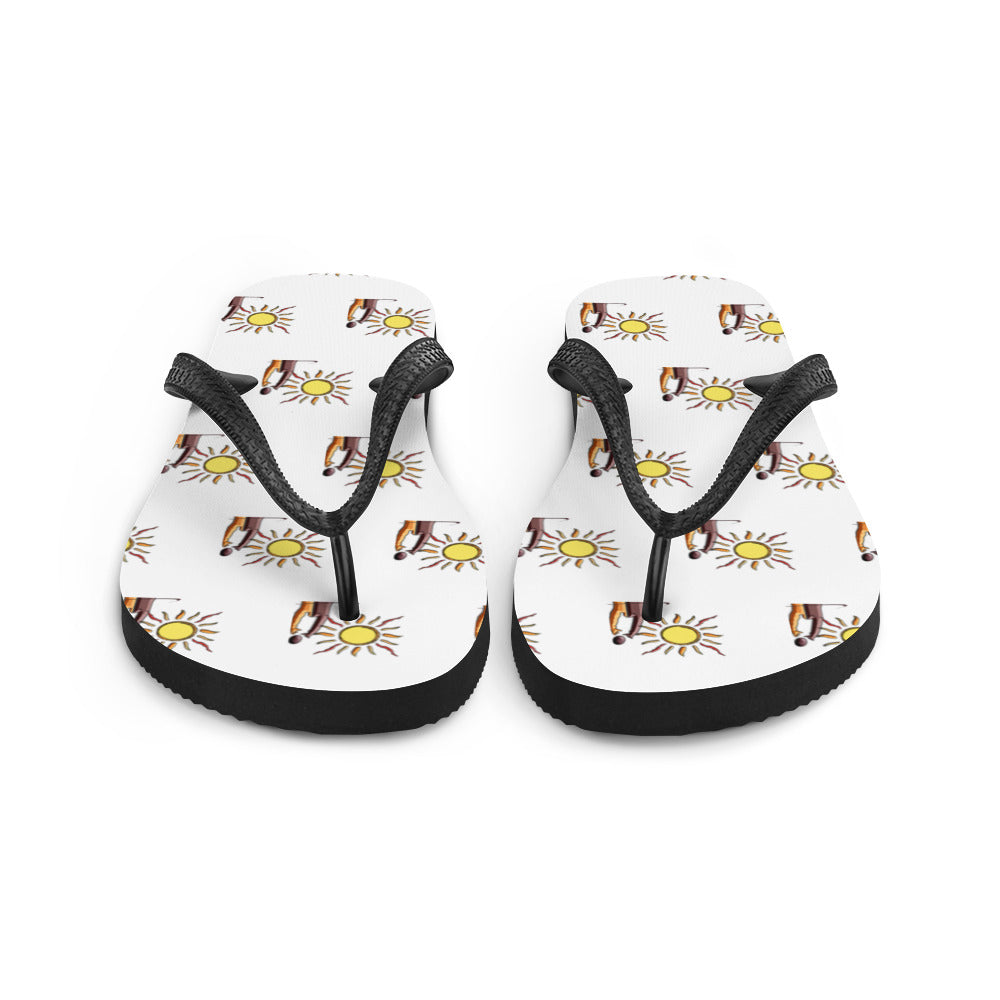 Flip-Flops
