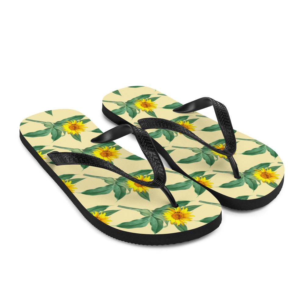 Flip-Flops