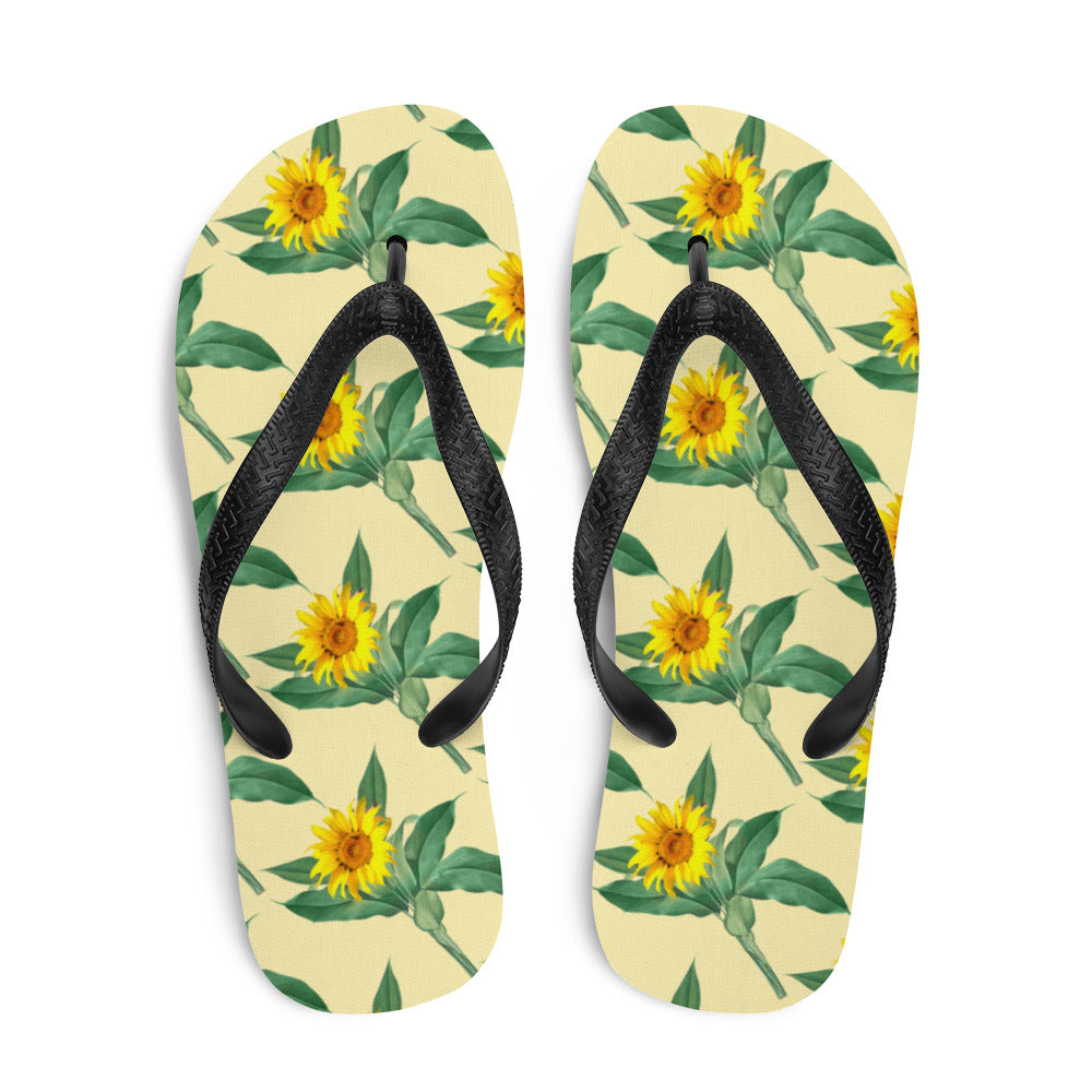 Flip-Flops