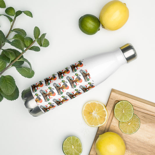 Stainless Steel Water Bottle