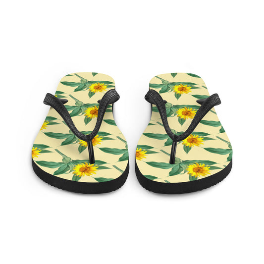 Flip-Flops