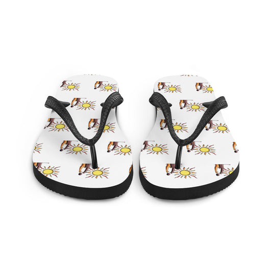 Flip-Flops